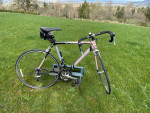PINK Trek Madone SL 5.2 2007 Road Bike