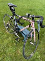 PINK Trek Madone SL 5.2 2007 Road Bike
