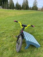 Kids Specialized 16’ Rip Rock Bike (5-6 year old)