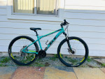 GT Laguna Pro Mountain Bike