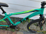 GT Laguna Pro Mountain Bike