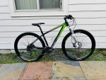 Raleigh Carbon Fiber Mountain Bike