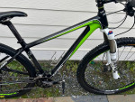 Raleigh Carbon Fiber Mountain Bike