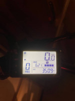 2024 Pedego Intercepter (new model)