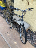 Diamondback