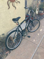 Diamondback