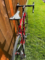 Focus Cayo evo bike