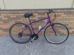 Trek 7.2 - great townie!
