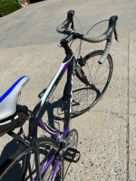 Fuji Silhouette Road Womens Bike 2008 Full Carbon