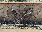 Fuji Silhouette Road Womens Bike 2008 Full Carbon