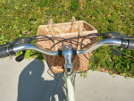 Electra Townie 24D