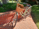 Electra Townie 24D