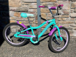 Schwinn Girls 20” Bicycle