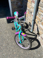 Schwinn Girls 20” Bicycle