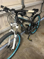 Diamondback lush 27.5