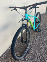 Large Superfly Single Speed