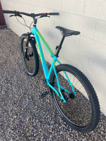 Large Superfly Single Speed