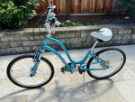 Electra Townie - always store in shed