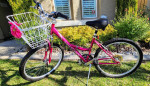 Women's Diamondback Wildwood Citi Comfort Hybrid Bicycle SML 16"