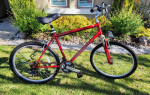 Men's Diamondback Wildwood Citi Comfort Hybrid Bicycle LG 20" RED