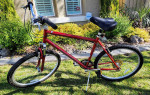Men's Diamondback Wildwood Citi Comfort Hybrid Bicycle LG 20" RED
