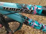 KENT -TEMPEST PRO GIRLS BIKE