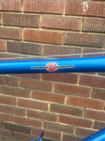 Schwinn Homegrown Pro