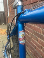 Schwinn Homegrown Pro
