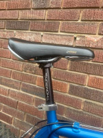 Schwinn Homegrown Pro