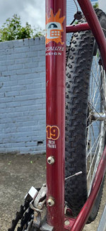19 inch Specialized Mountain Bike