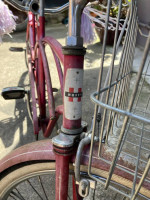 Huffy Daisy Daisy Tandem