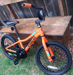 Kids 16 inch  Trek Precaliber bike