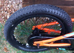 Kids 16 inch  Trek Precaliber bike
