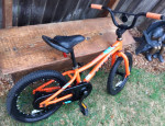 Kids 16 inch  Trek Precaliber bike