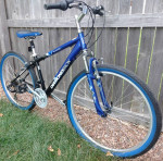 Beautiful Diamondback Wildwood Citi Classic Hybrid bike
