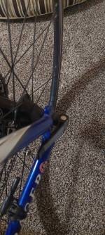 Trek Road Bike