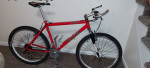 Raleigh M600