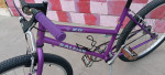 Small, purple, step-thru single-speed cruiser