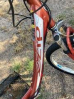Pedi Cab and electric Bike