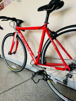 Scattante Road Bike
