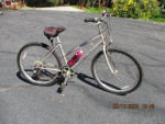 Diamondback