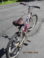 Diamondback