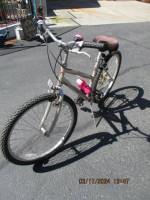 Diamondback