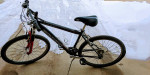 Mens Schwinn Mountain Bike
