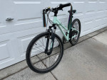 Kids Trek Precaliber Mountain Bike - 24 inch - 21 speed - Mint Green