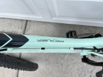 Kids Trek Precaliber Mountain Bike - 24 inch - 21 speed - Mint Green