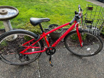 YOUTH BIKE