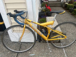 NOVARA HYBRID BIKE