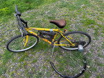 Electric battery bike