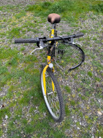 Electric battery bike